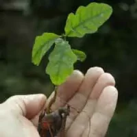 Grow with Acorns Registered Office